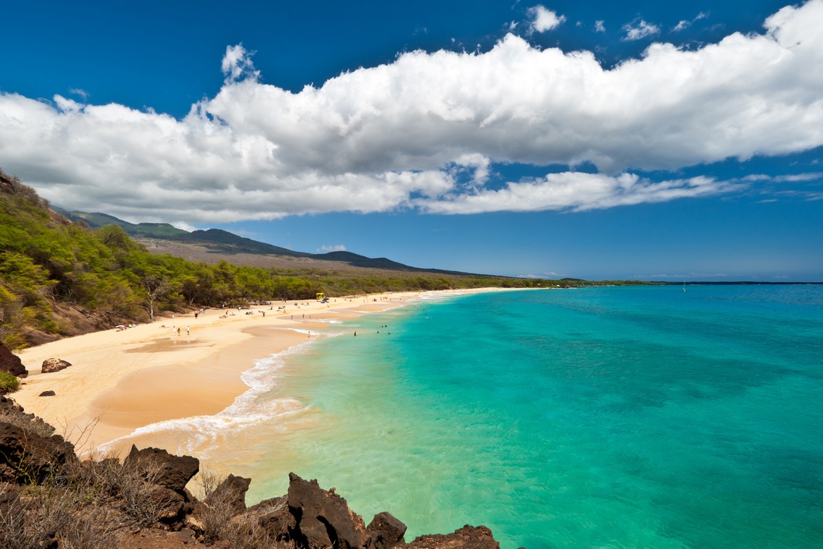 Lễ hội Hawaii